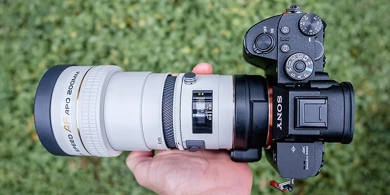 Sony A7R III + Sony LA-EA4 + Minolta AF 200mm f2.8