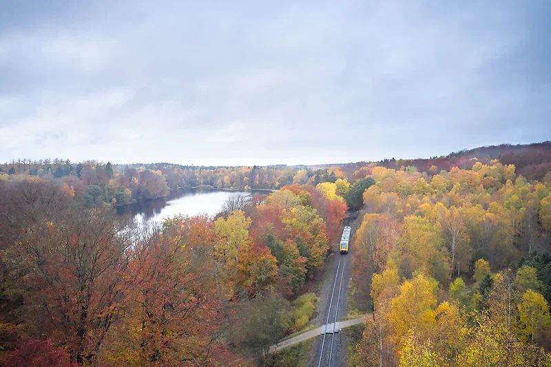 Hillerød forest, Denmark