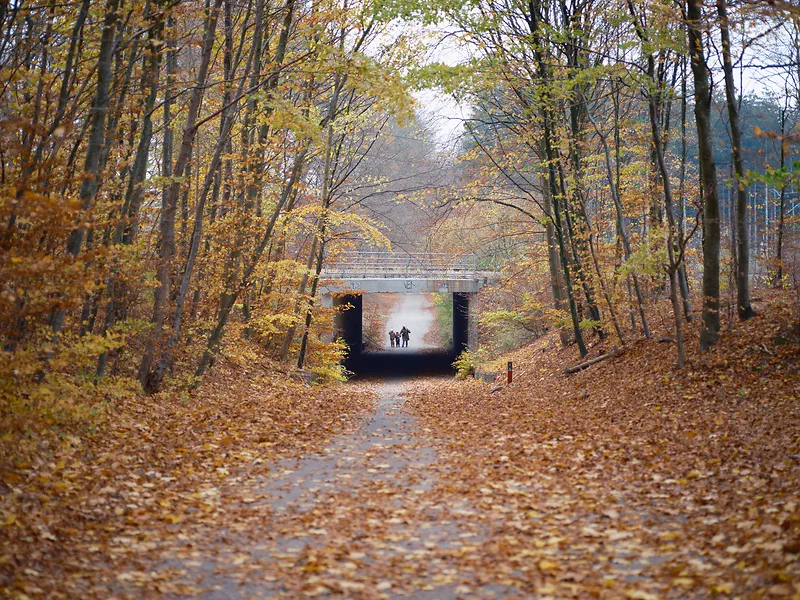 The Phase One Schneider Kreuznach LS 80mm f2.8 is one of my favorite lenses, but on this camera the photos come out dull. Shot on Fujifilm GFX 50S II + Schneider Kreuznach LS 80mm f2.8 (Kipon M645-GFX adapter)