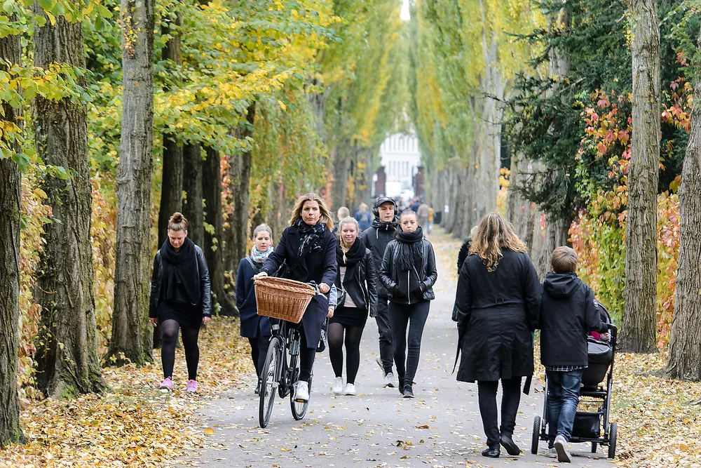 People walking and cycling along an autumn tree-lined path in Assistens Kirkegård, Copenhagen