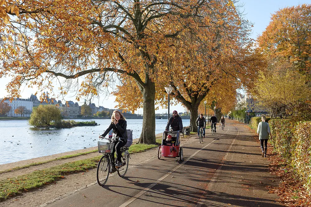 Cyclists on the path along the Lakes in Copenhagen under yellow autumn trees