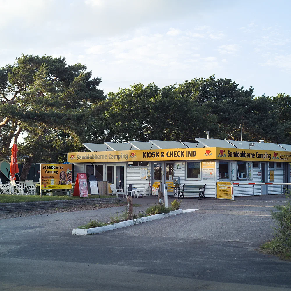 Yellow kiosk and check-in building at Sanddobberne Camping under pine trees