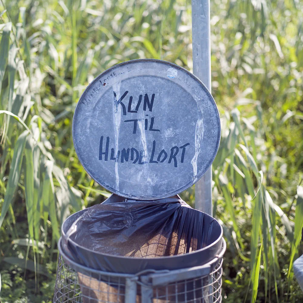 Bin with a hand written lid saying Kun til hundelort among tall grass at Sanddobberne Camping