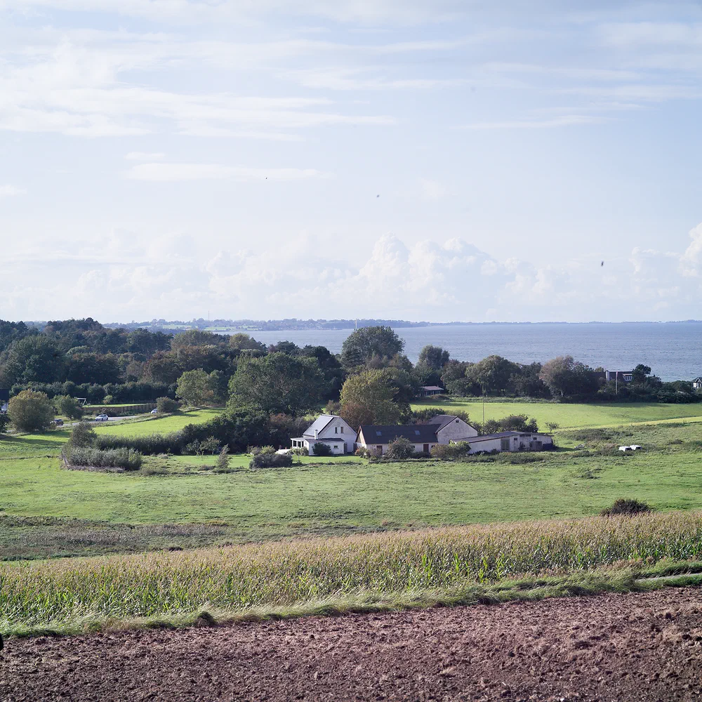 Farmland with a farmhouse and the sea in the distance at Sjællands Odde