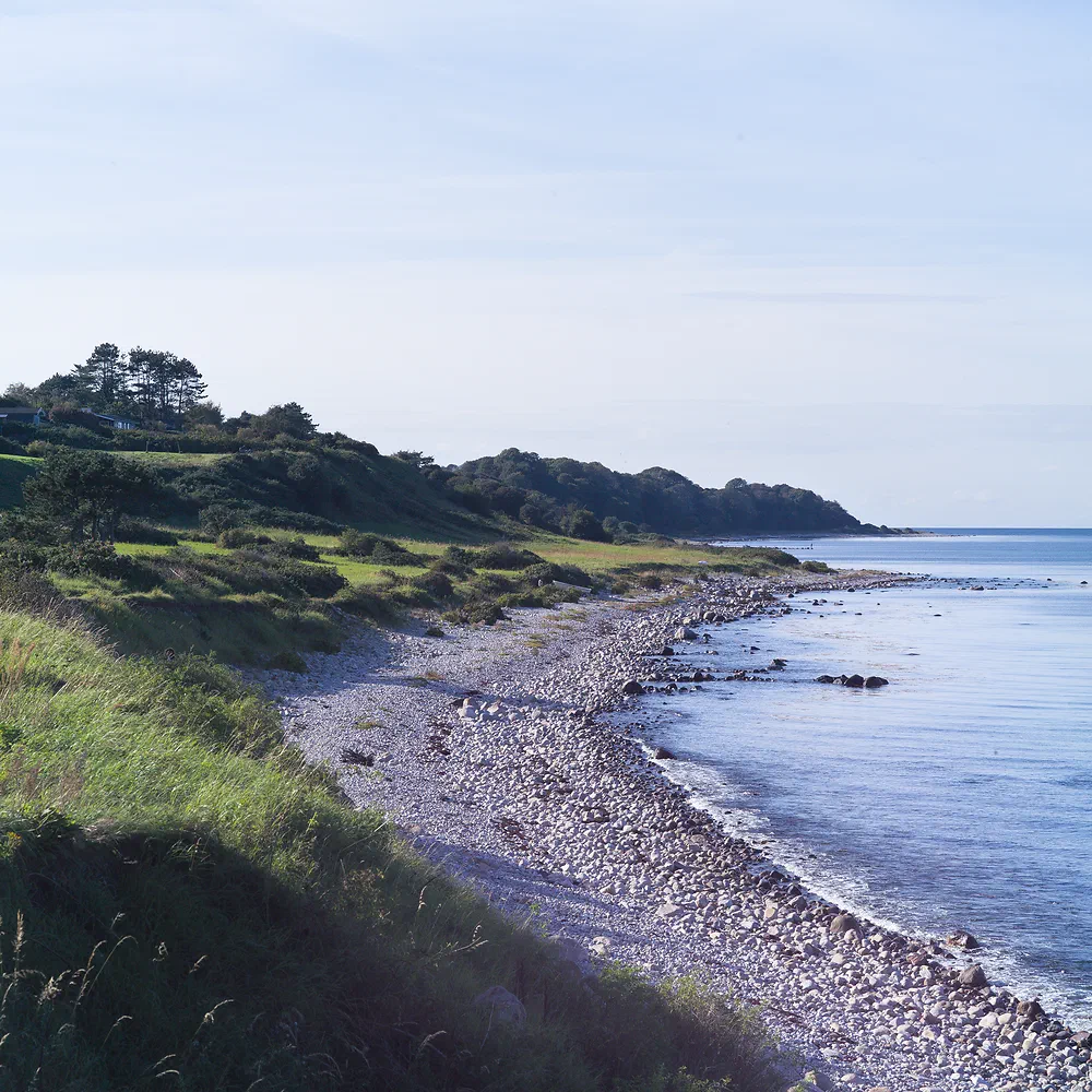 Stony beach curving along a calm bay below green slopes at Sjællands Odde