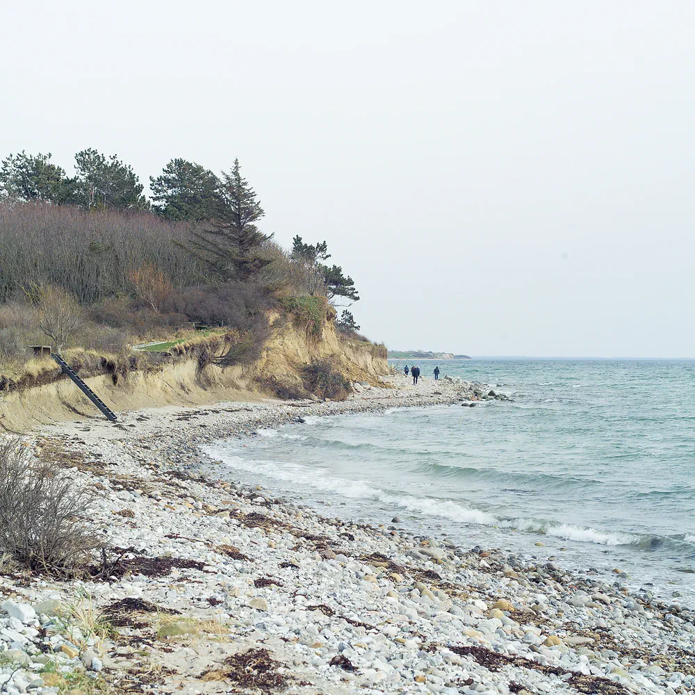 Stony beach below an eroded cliff on the north side of Sjællands Odde with people walking in the distance