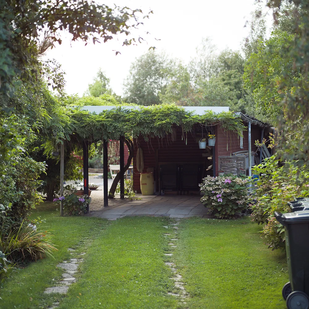 Wooden garage overgrown with vines at the end of a grass driveway at Sjællands Odde