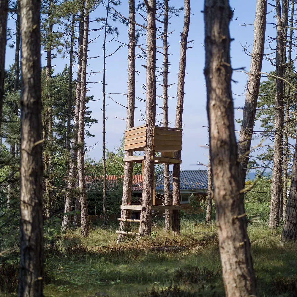 Small wooden tree house on stilts between tall pine trees at Sjællands Odde
