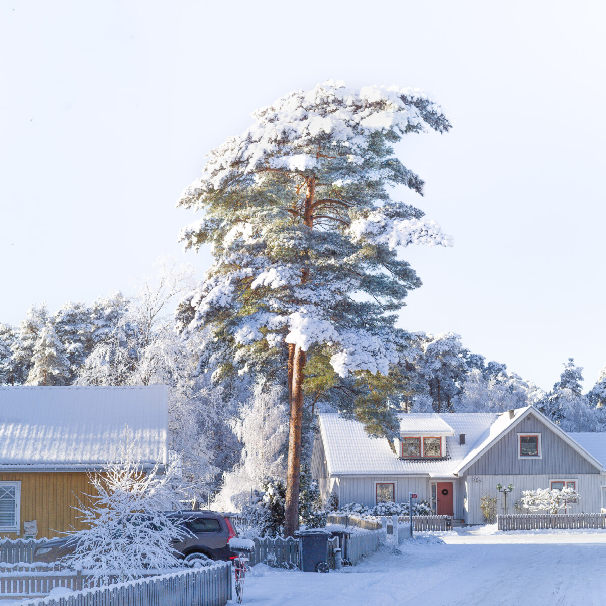 Houses with snow in Mellbystrand, Sweden - shot using Mamiya Sekor AF 80mm f2.8